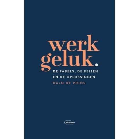 Werkgeluk (Paperback)