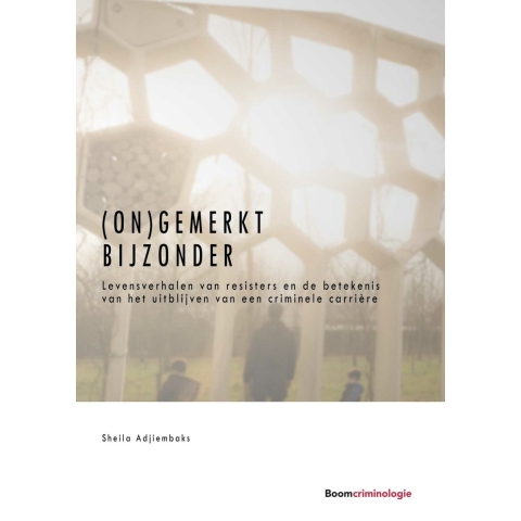 (On)gemerkt bijzonder (Paperback)