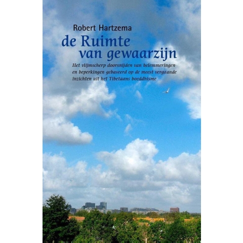 De ruimte van gewaarzijn (Paperback)