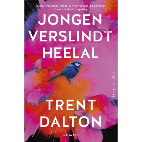 Jongen verslindt heelal (Paperback)