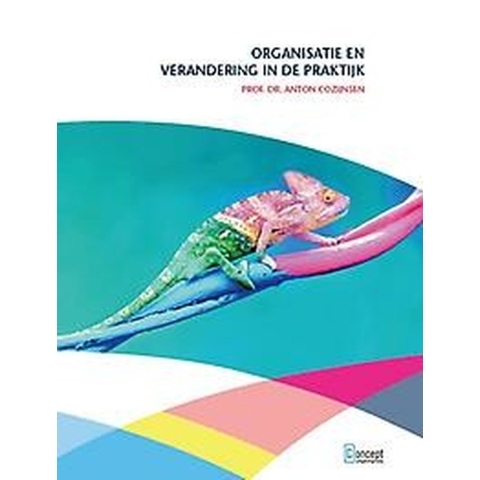 Organisatie en verandering in de praktijk (Paperback)