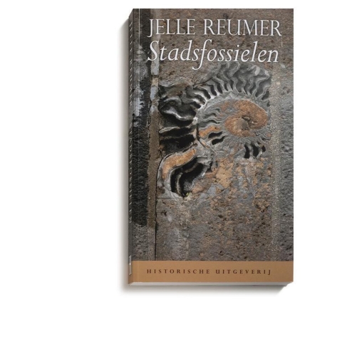 Stadsfossielen (Paperback)