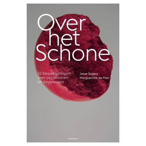 Over het Schone (Paperback)