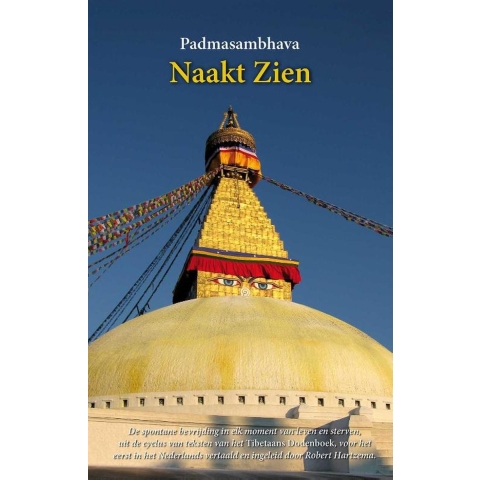 Naakt zien (Hardback)