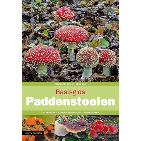 Basisgids Paddenstoelen (Paperback)