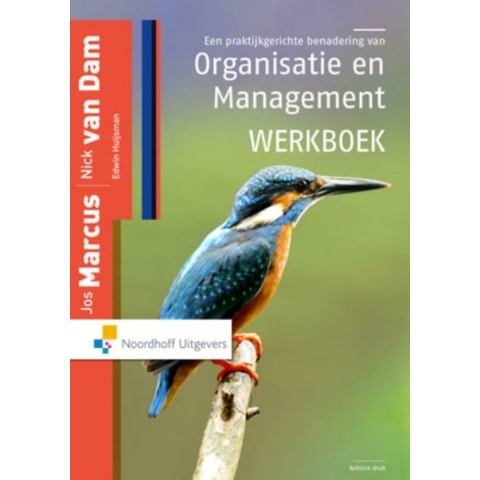 Een praktijkgerichte benadering van organisatie en management (Paperback)