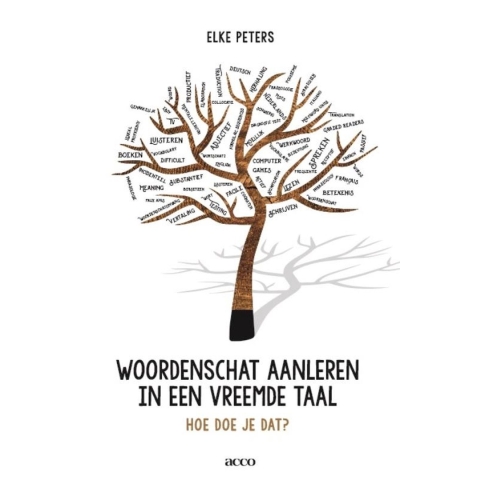 Woordenschat aanleren in een vreemde taal (Paperback)
