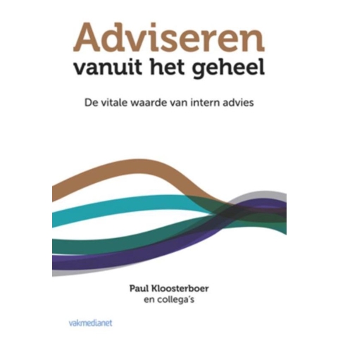 Adviseren vanuit het geheel (Paperback)