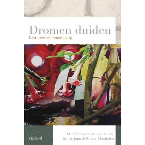 Dromen duiden (Paperback)