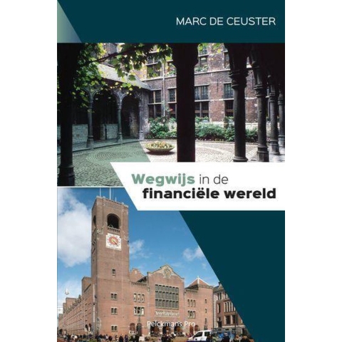 Wegwijs in de financiële wereld (Paperback)