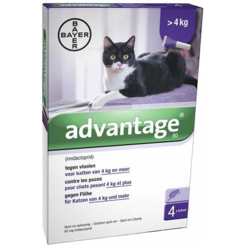 Advantage 80 kat 4 pipetten>4 kg