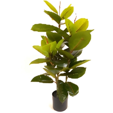 Rubberboom 90 cm kunstplant Oosterik Home - Oosterik home