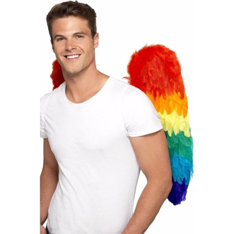 Regenboog veren vleugels 68 cm -