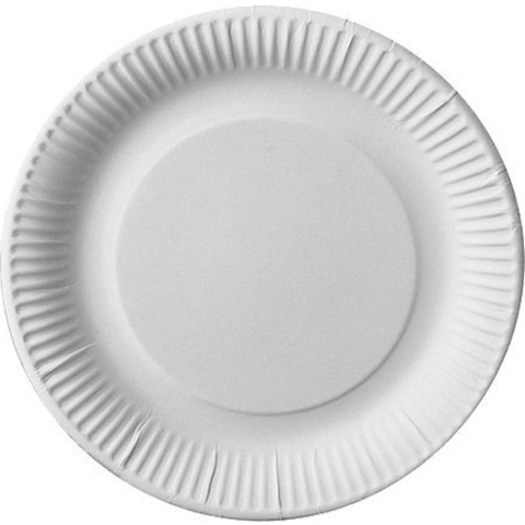 Bordjes - 100x - D23 cm - karton - wegwerpbordjes - feestbordjes composteerbaar -