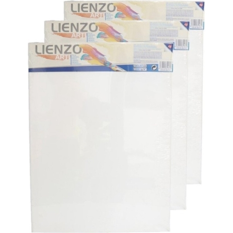 6x stuks canvas schildersdoeken 40 x 30 cm voor hobby verven/schilderen -