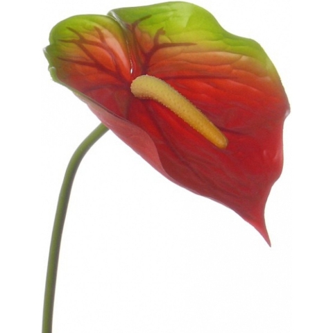 Bellatio flowers & plants Anthurium kunstbloem tak - 4x - rood met groen - 78 cm - stelen -