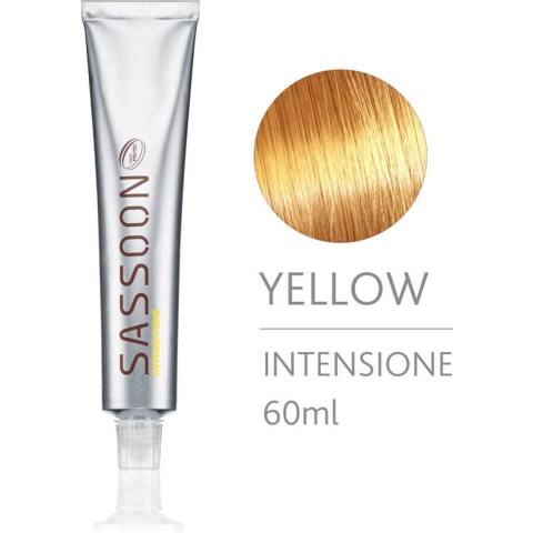 Sassoon Chromatology Intensitone 60ml Geel