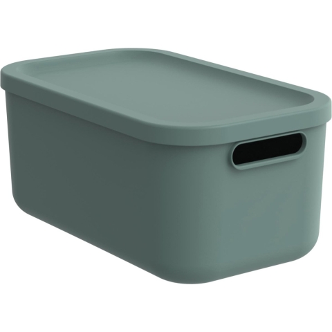 Rotho Albula Opbergbox 12L Mistletoe Groen