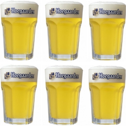 Hoegaarden Bierglazen Witbier - 250 ml - 6 stuks