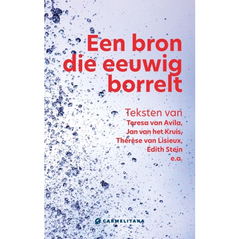 Een bron die eeuwig borrelt (Paperback)