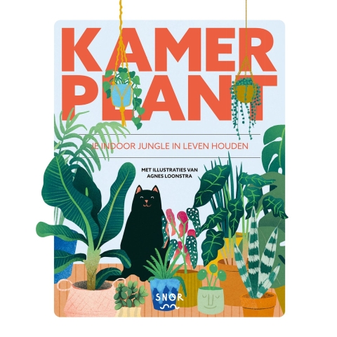 Kamerplant (Hardback)