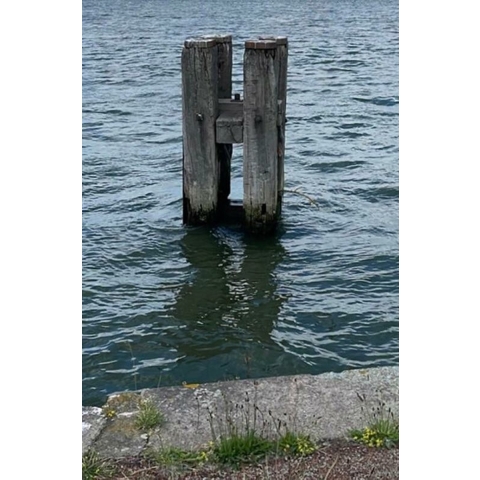 H. (Paperback)