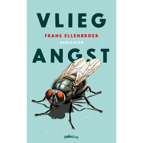 Vliegangst (Paperback)