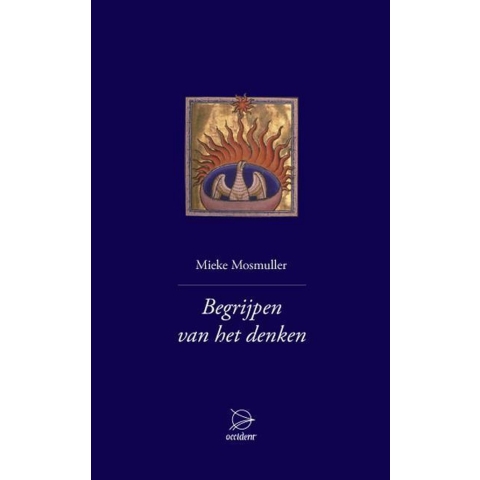 Begrijpen van het denken (Hardback)