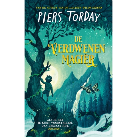 De verdwenen magiër (Paperback)