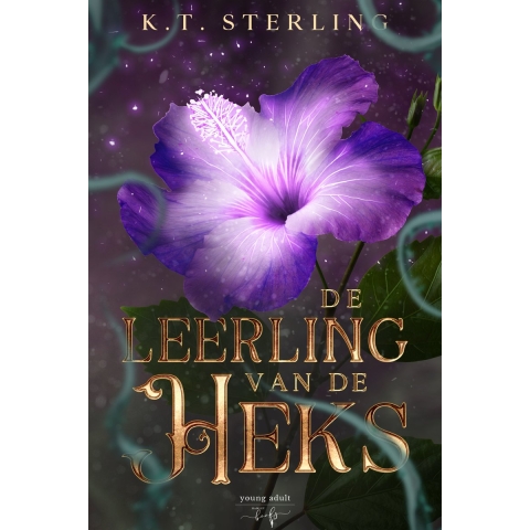 De leerling van de Heks (Hardback)