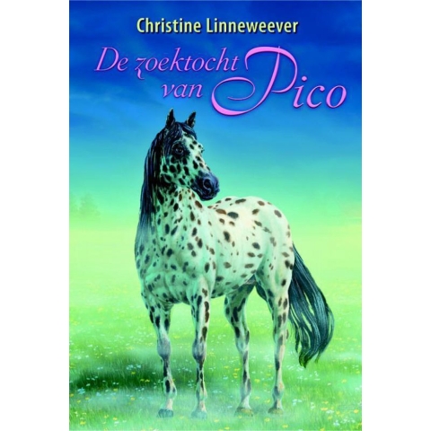 De zoektocht van Pico (Hardback)