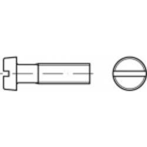 TOOLCRAFT TO-5451069 Cilinderkopschroeven M4 40 mm Sleuf Polyamide 200 stuk(s)