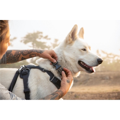 Ruffwear Hondenhalsband Front Range™ Collar, basalt grey, Maat: 28cm-36cm