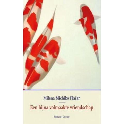 Een bijna volmaakte vriendschap (Paperback)