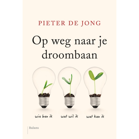 Op weg naar je droombaan (Paperback)