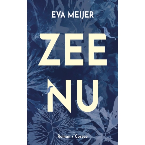 Zee Nu (Paperback)