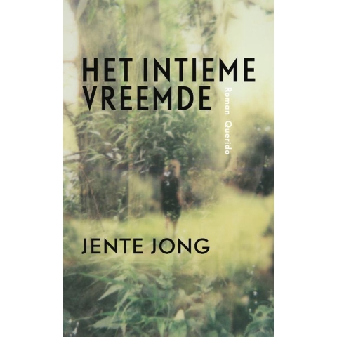 Het intieme vreemde (Paperback)