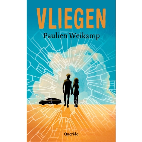 Vliegen (Paperback)