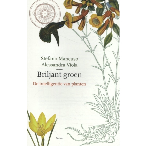Briljant groen (Paperback)