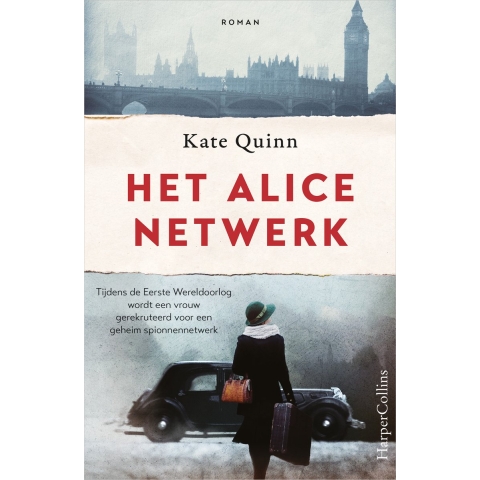 Het Alice-netwerk (Paperback)
