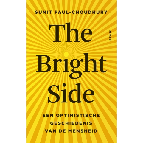 The Bright Side (Paperback)