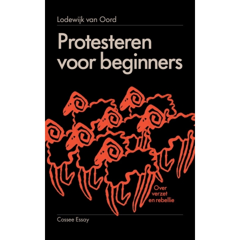 Protesteren voor beginners (Paperback)