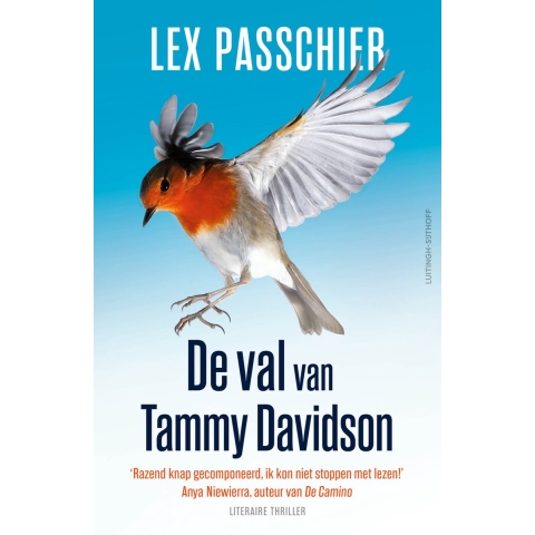 De val van Tammy Davidson (Paperback)