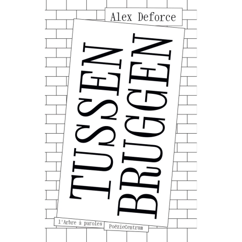 Tussenbruggen (Paperback)