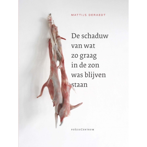 De schaduw van wat zo graag in de zon was blijven staan (Paperback)