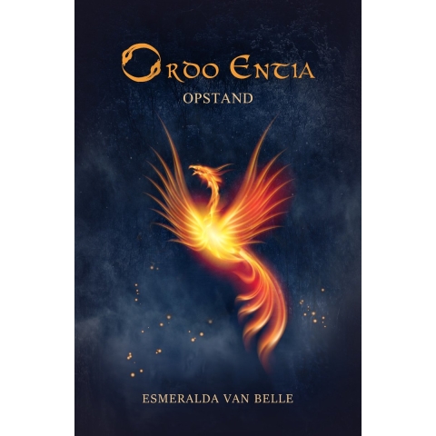 Ordo Entia (Paperback)