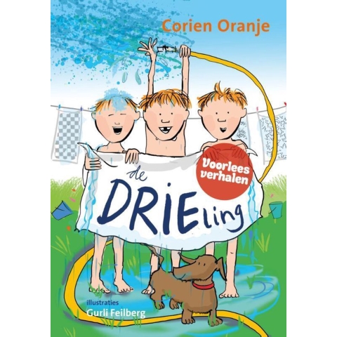 De drieling (Hardback)