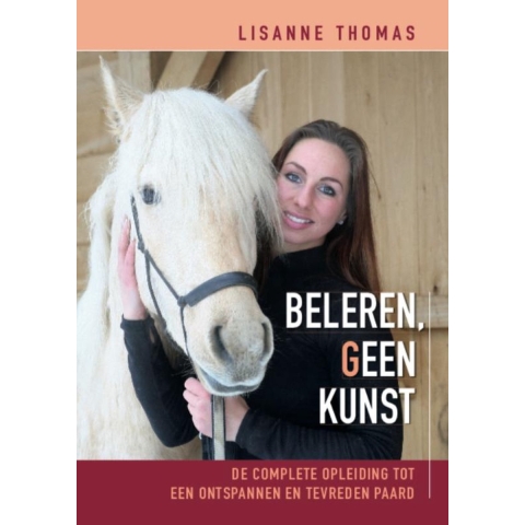 Beleren, geen kunst (Hardback)