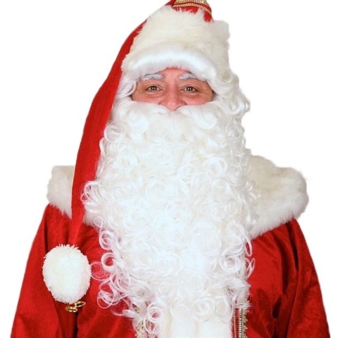 Kerstman pruik en baard - wit - volwassenen - synthetisch - kerstman accessoires -