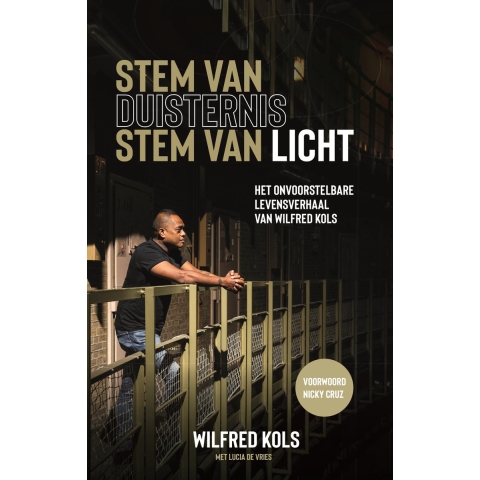 Stem van duisternis, stem van licht (Paperback)